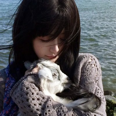 JOJO的奇妙冒险 不灭钻石